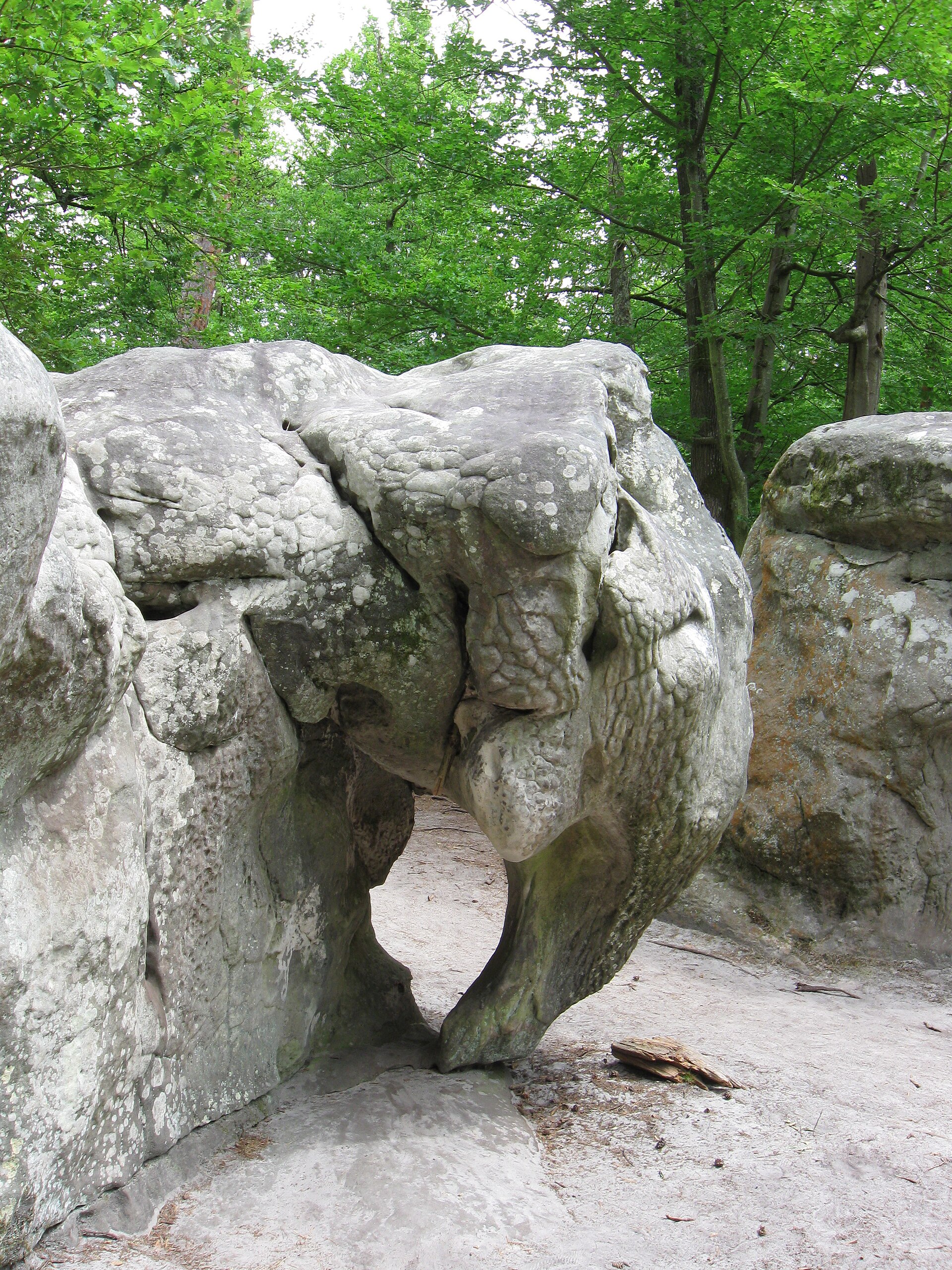 The Elephant Rock, Apremont - Forest of Fontainebleau.