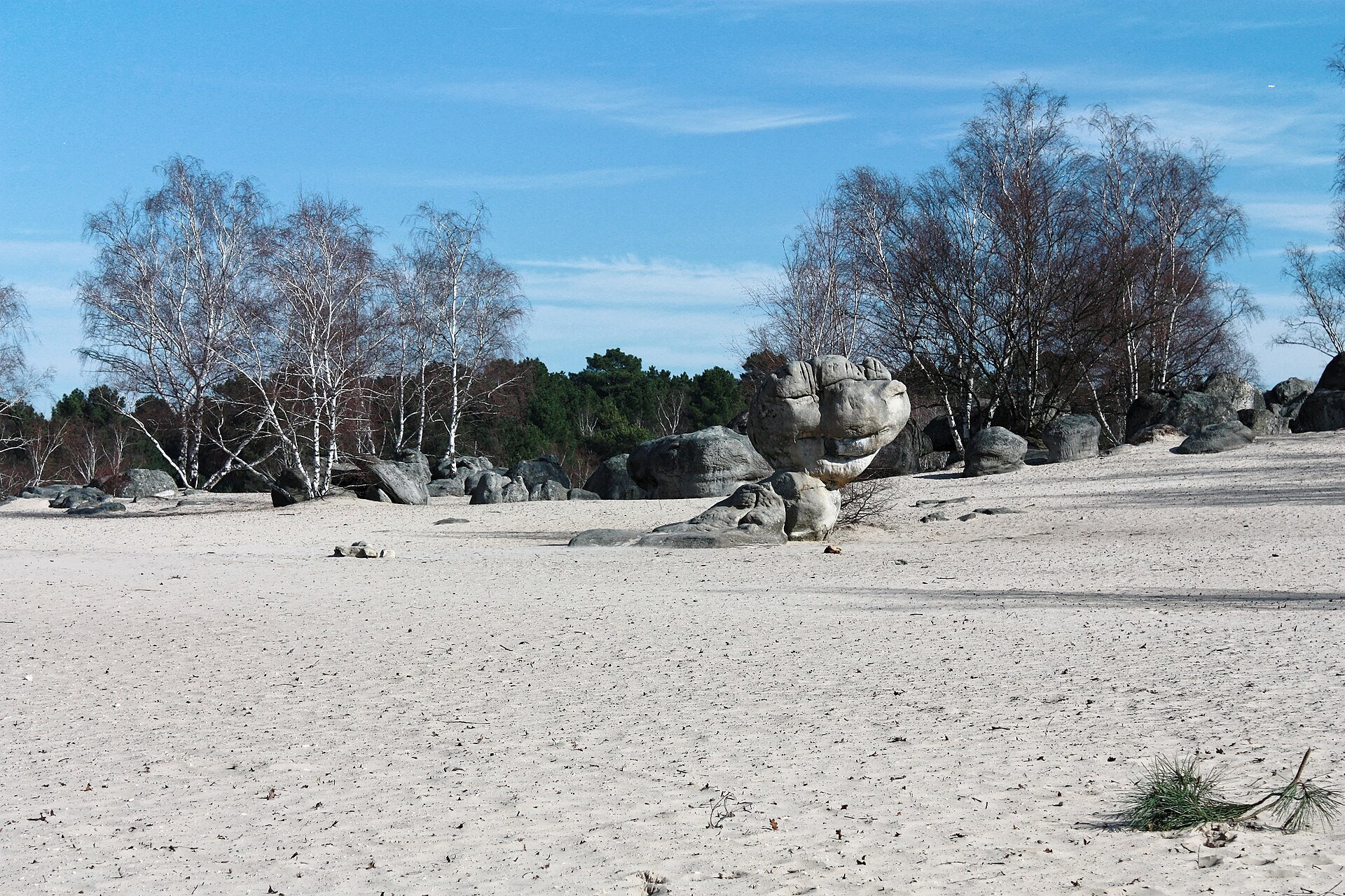 The Bilboquet of Sand Lake of the Dog Arse, in the Forêt domaniale des Trois Pignons.