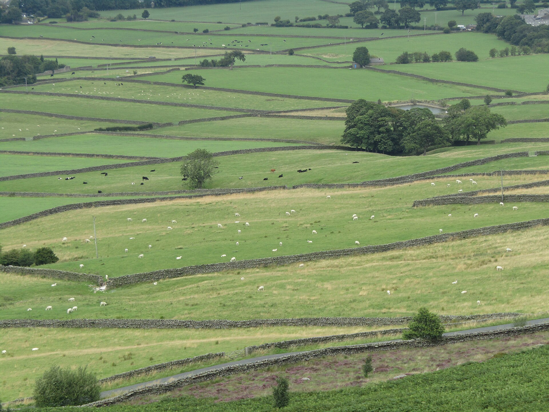 Earl Crag - View to North-East