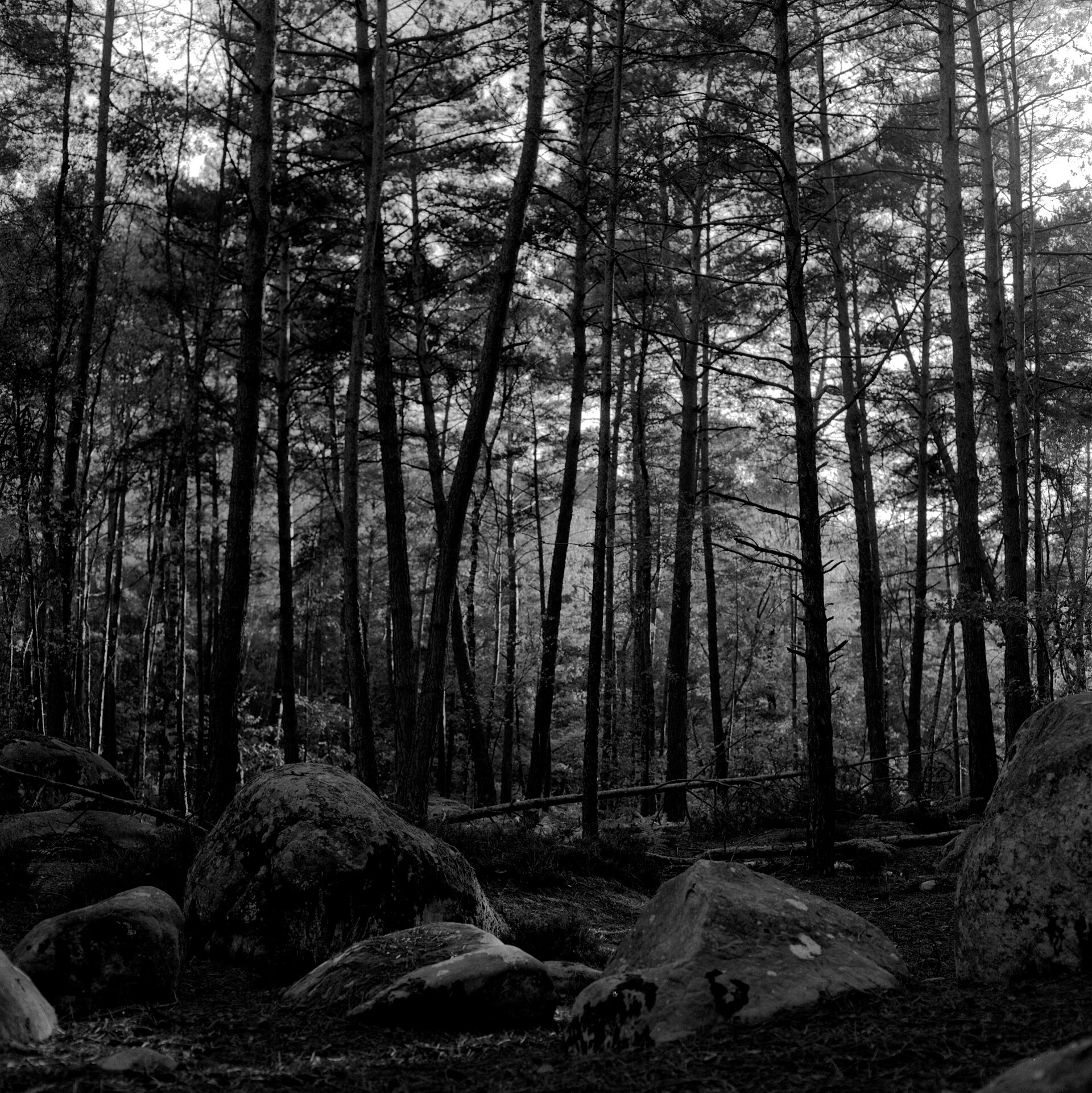 Landscape from this climbing area
