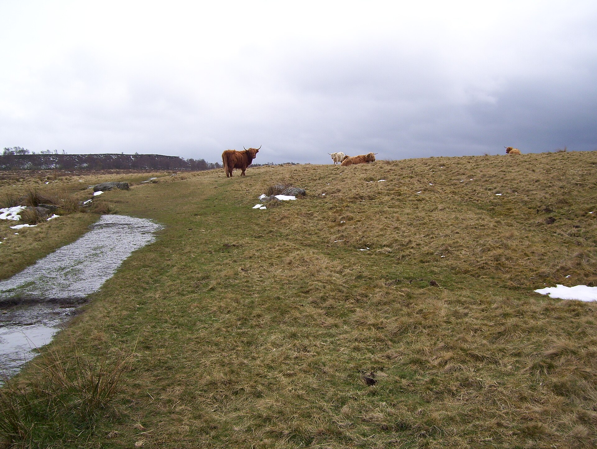 Footpath to Gardom's Edge