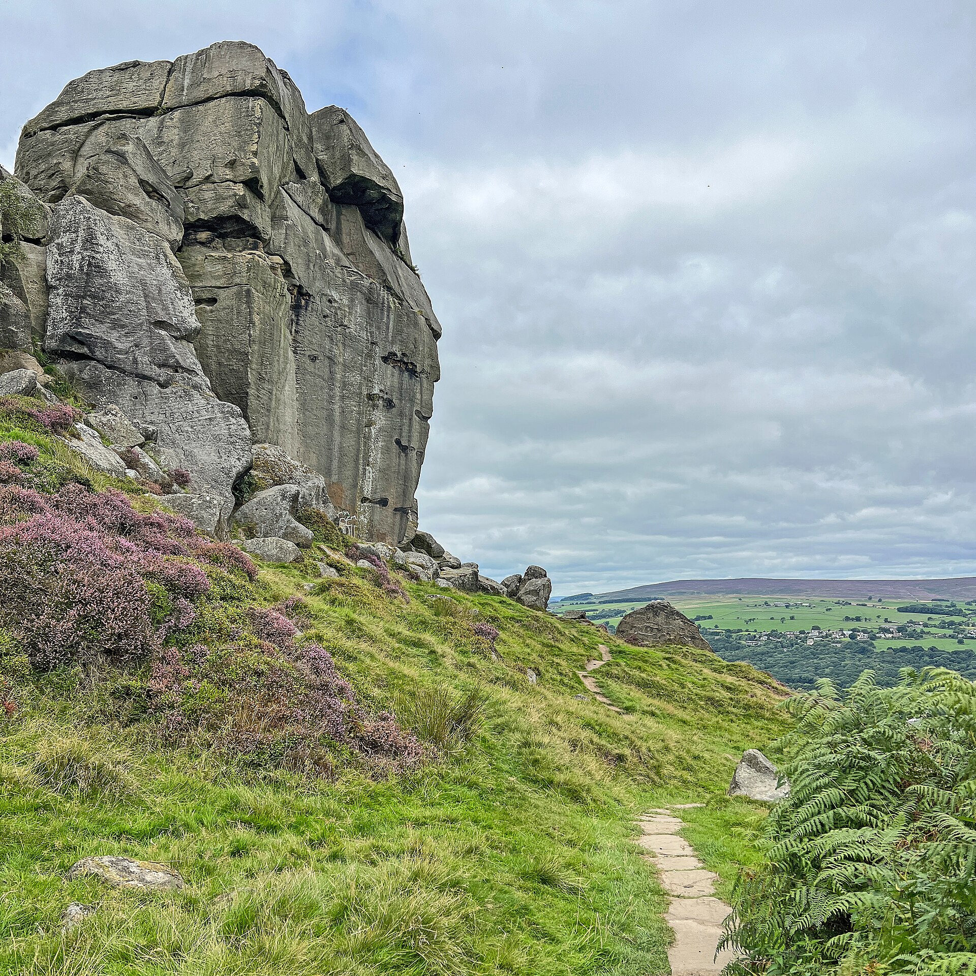 Cow and Calf Rocks