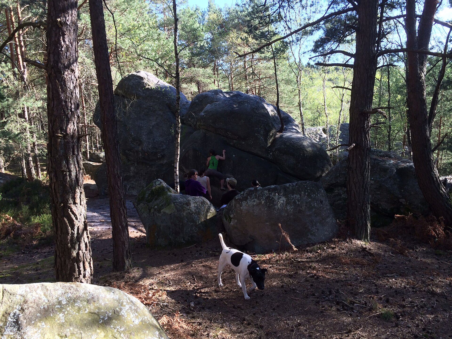 fontainebleau chien isatis franchard escalade
