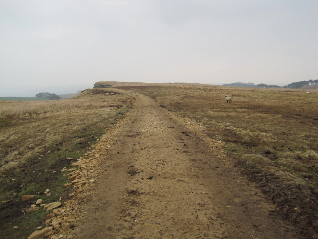 Track towards Ravensheugh Crags