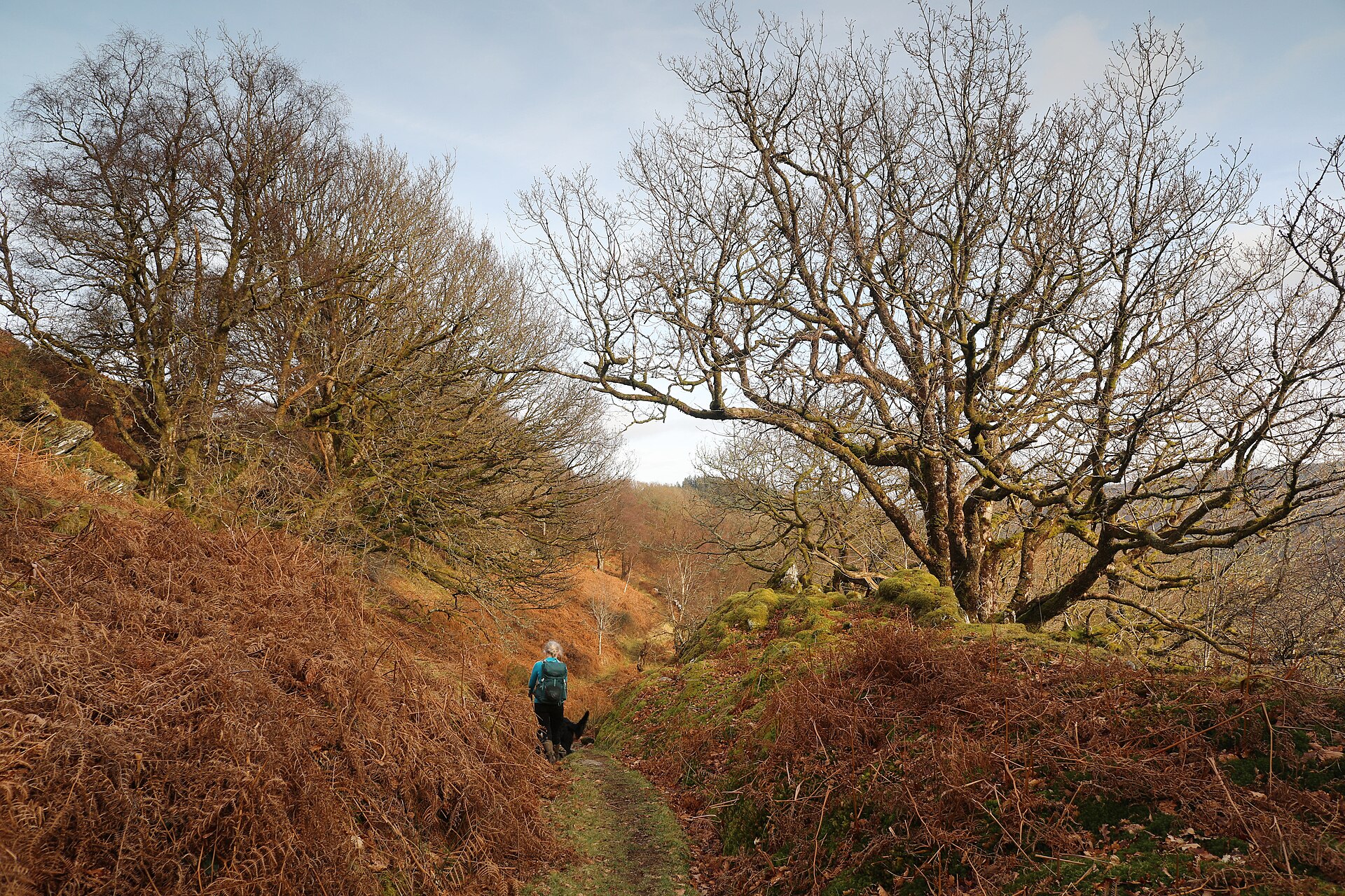 Footpath from Rhiw Gôch to Cwmcelyn