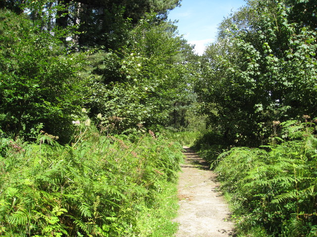 Footpath near Rivelin Dams